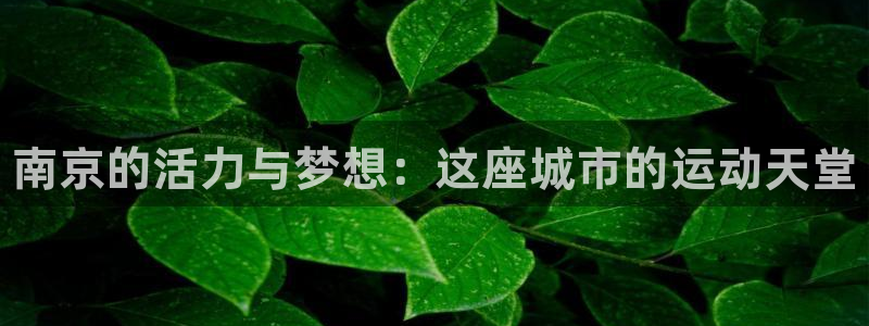 JJB竞技宝官网下载平台注册流程图：南京的活力与梦想
