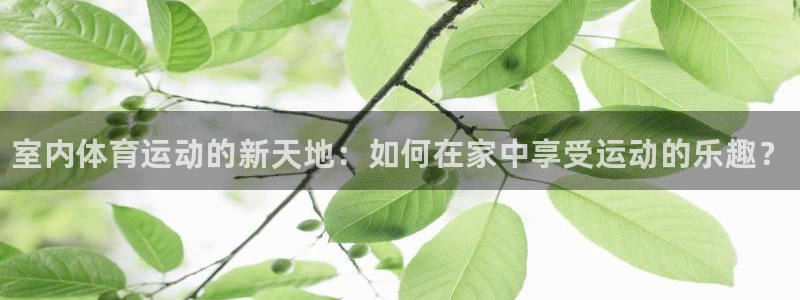JJB竞技宝官方正版app娱乐平台：室内体育运动的新