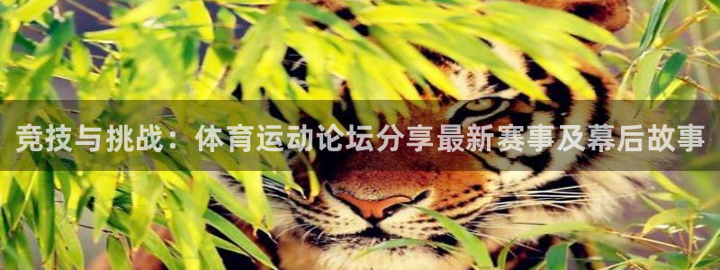 JJB竞技宝官方正版app娱乐：竞技与挑战：体育运动