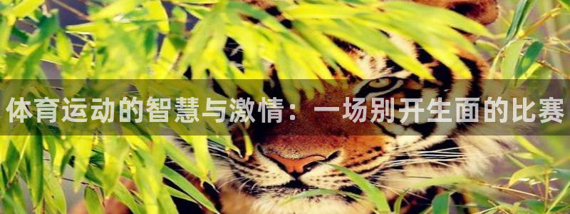JJB竞技宝官方正版app娱乐：体育运动的智慧与激情：一场别