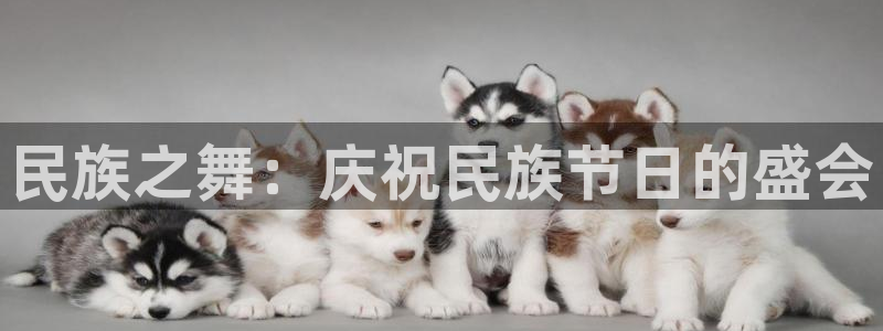 注册JJB竞技宝官方正版app：民族之舞：庆祝民族节