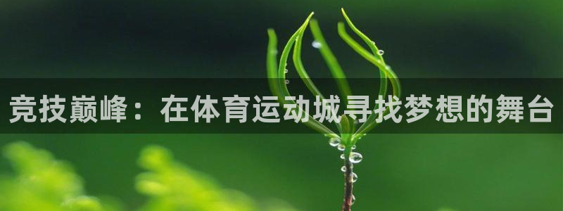 JJB竞技宝官网下载：竞技巅峰：在体育运动城寻找梦想