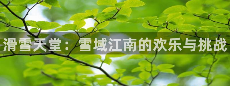 JJB竞技宝官网下载平台注册流程视频：滑雪天堂：雪域