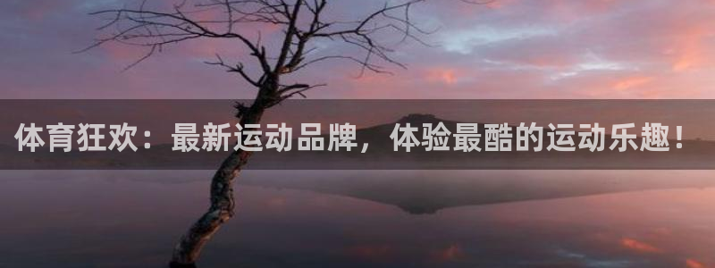 JJB竞技宝官网下载平台注册要钱吗安全吗：体育狂欢：