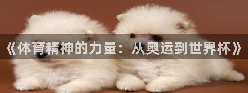 注册JJB竞技宝官方正版app：《体育精神的力量：从