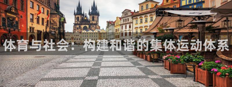 JJB竞技宝官方正版app开户：体育与社会：构建和谐
