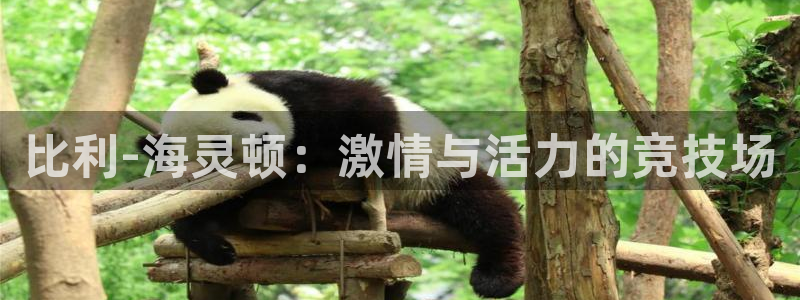 JJB竞技宝官方集团官网