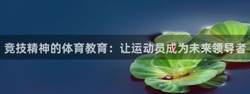 JJB竞技宝官网下载是干嘛的公司：竞技精神的体育教育：让运动