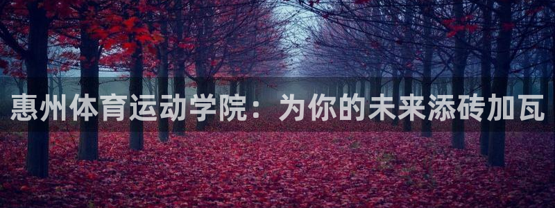 JJB竞技宝官网下载软件