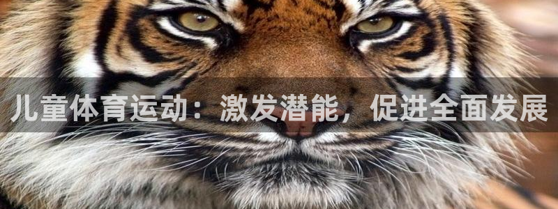 JJB竞技宝官方正版app开户：儿童体育运动：激发潜能，促进