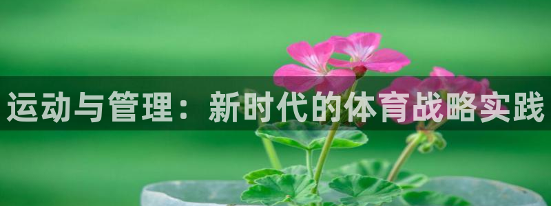 JJB竞技宝官网下载是干嘛的公司：运动与管理：新时代的体育战