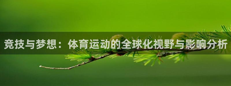 JJB竞技宝官网下载招商电话号码：竞技与梦想：体育运动的全球
