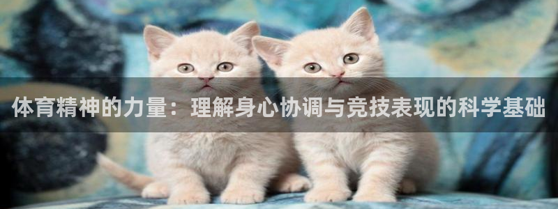 JJB竞技宝官方正版app官网：体育精神的力量：理解身心协调