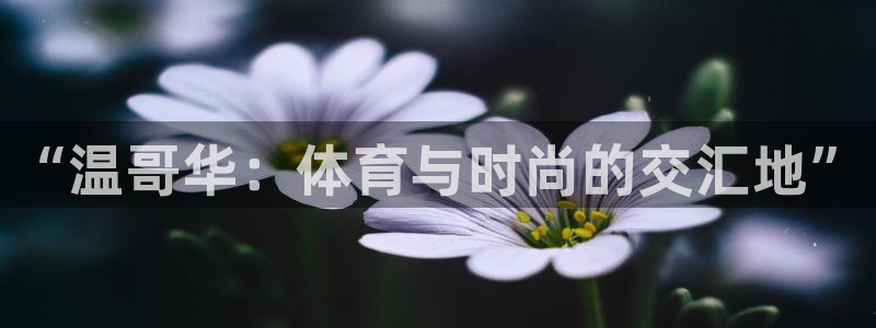 JJB竞技宝官方正版app集团官网首页网址：“温哥华：体育与