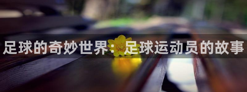 注册JJB竞技宝官方正版app：足球的奇妙世界：足球运动员的