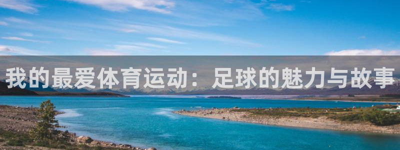 JJB竞技宝官方正版app开户：我的最爱体育运动：足球的魅力