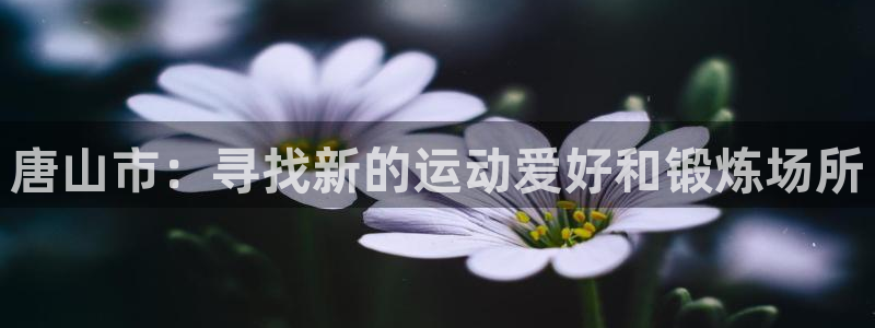 竞技宝app靠谱吗去hahabetgame