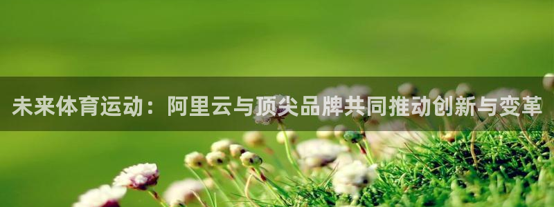 竞技宝 app官网