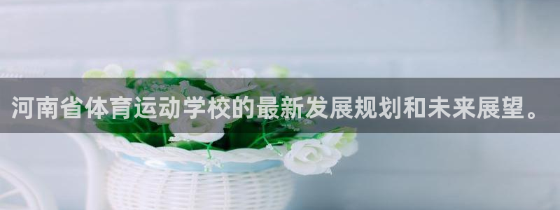 竞技宝维护来hahabet：河南省体