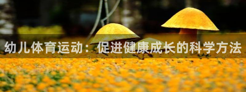 JJB竞技宝官方正版下载