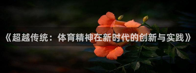 竞技宝会黑吗：《超越传统：体育精神在