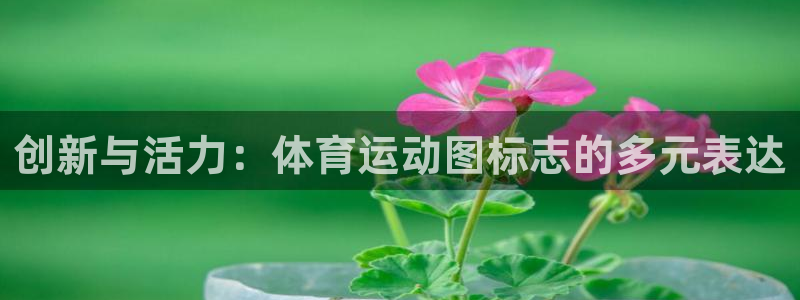竞技宝官方网站可以吗不如hahabet：创新与活力：体育运动