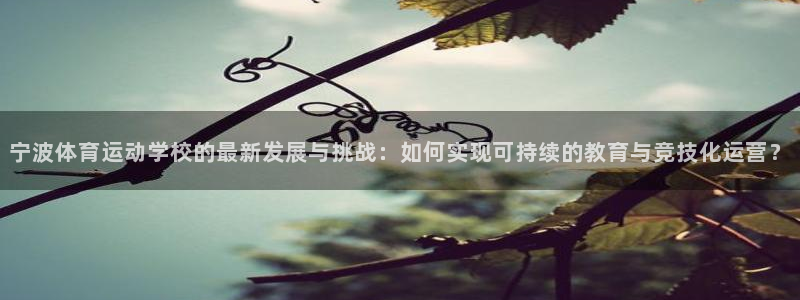 j竞技宝安卓客户端网址：宁波体育运动学校的最新发展与挑战：如