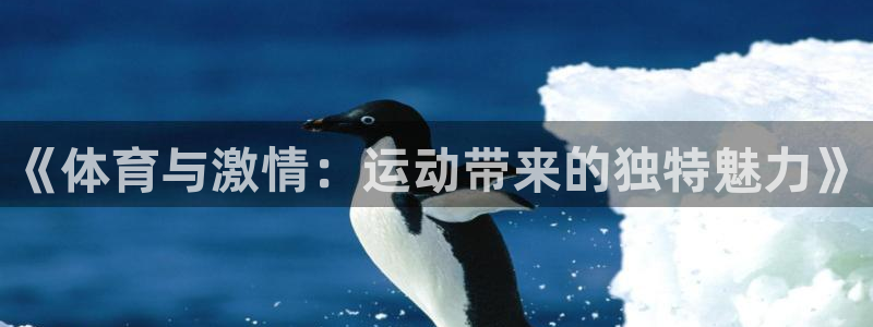 竞技宝能提现吗：《体育与激情：运动带