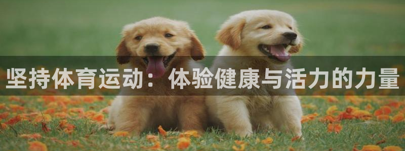 竞技宝是不是坑人的：坚持体育运动：体