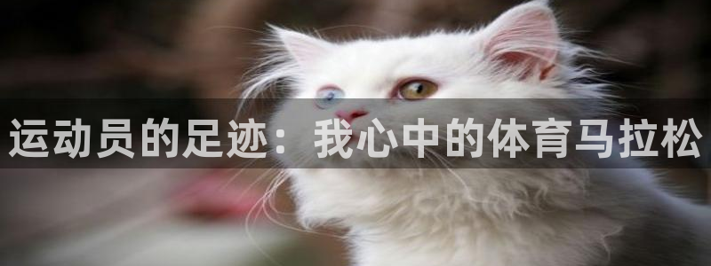  竞技宝网站合法吗：运动员的足迹：我心中的体育马拉松