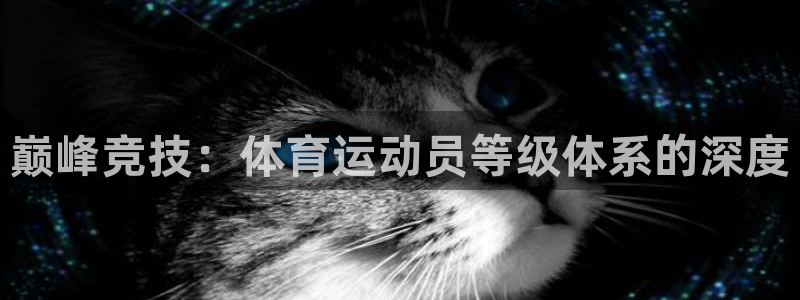 竞技宝怎么下载安装：巅峰竞技：体育运动员等级体系的深度