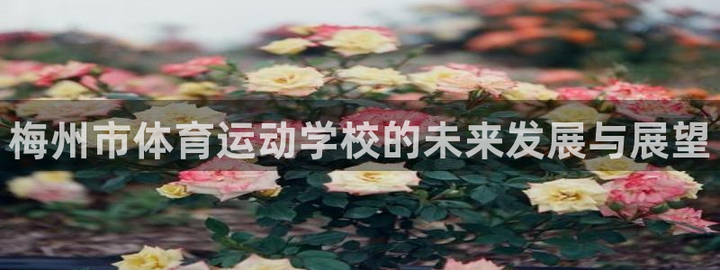 竞技宝是黑网站吗：梅州市体育运动学校的未来发展与展望