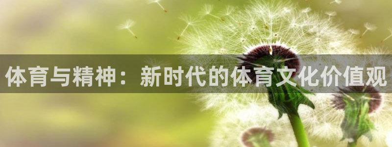  竞技宝最新网站：体育与精神：新时代的体育文化价值观