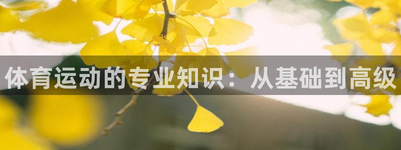 竞技宝账号有人要吗